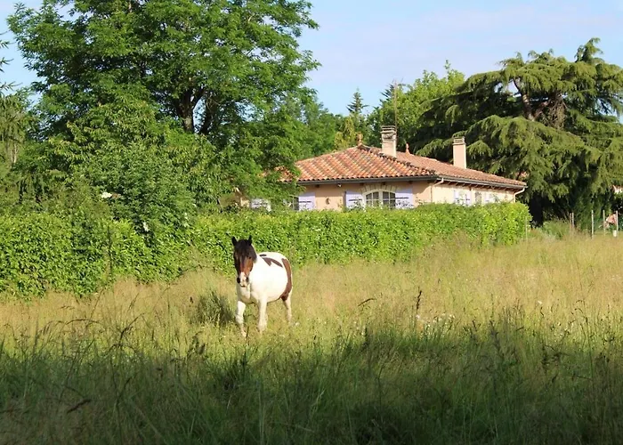 De La Meronne Dom wakacyjny *